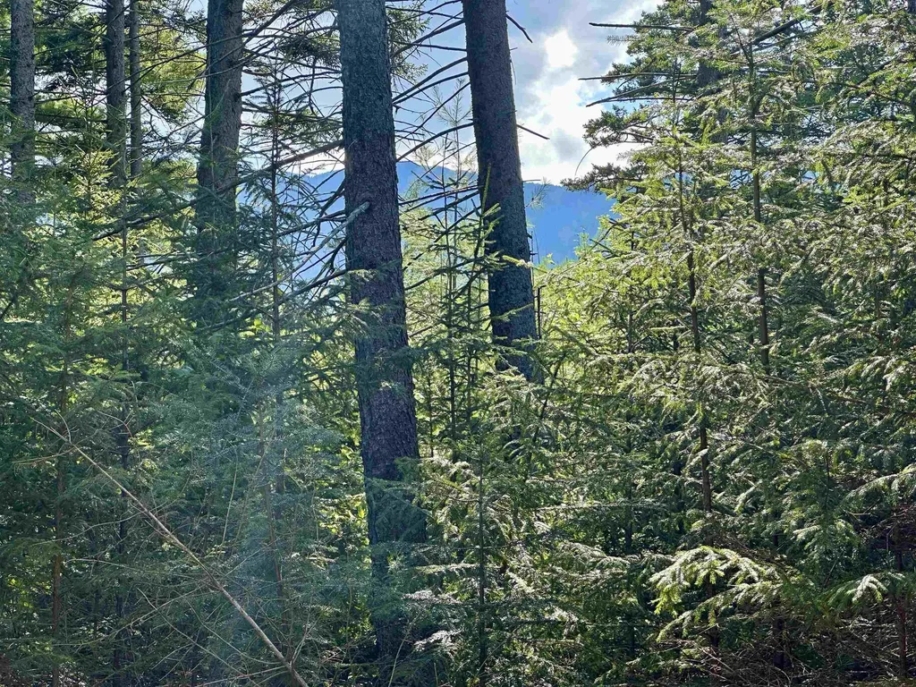 00 Knolls Road Warren VT 05674