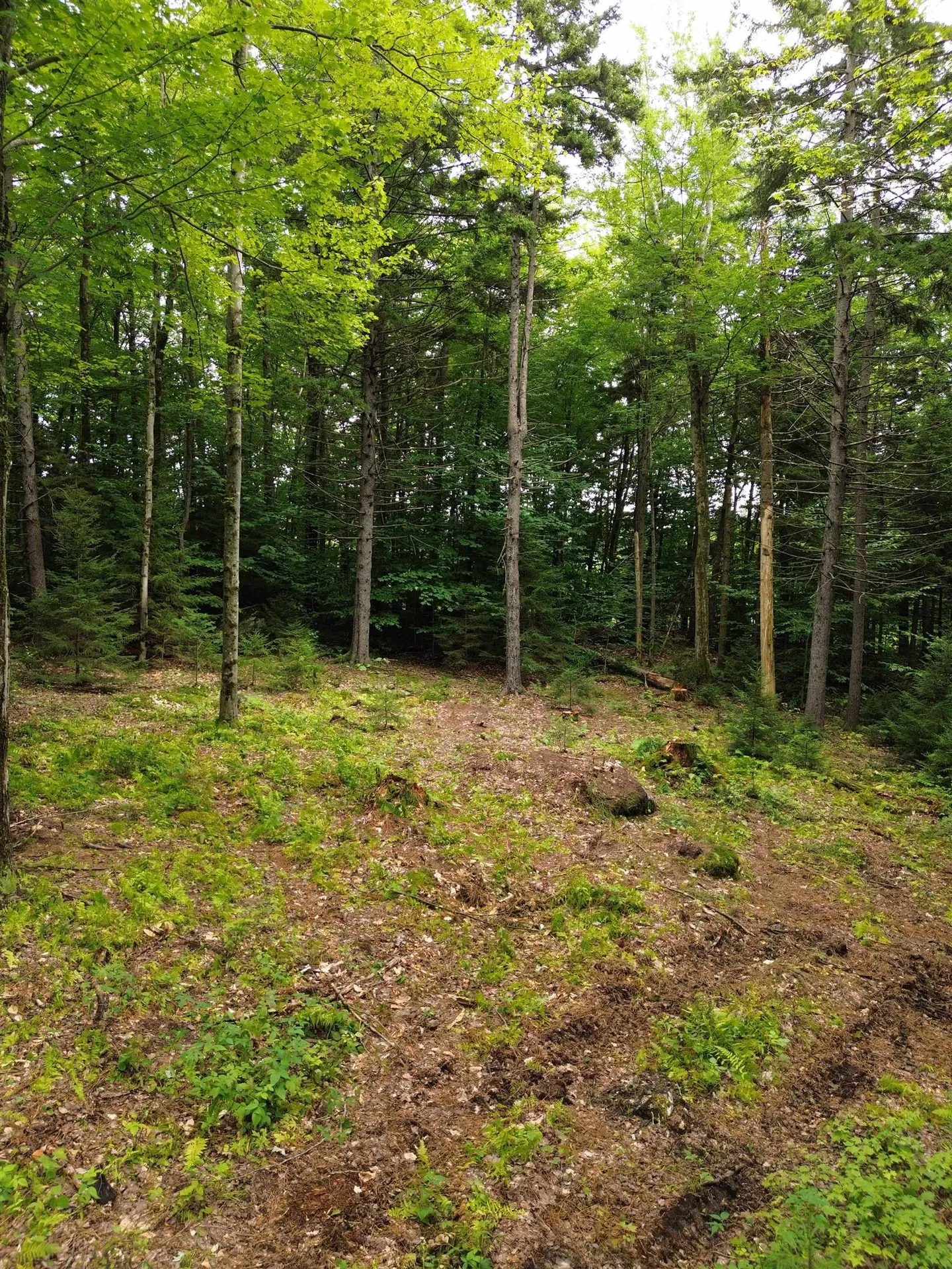 00 Knolls Road Warren VT 05674