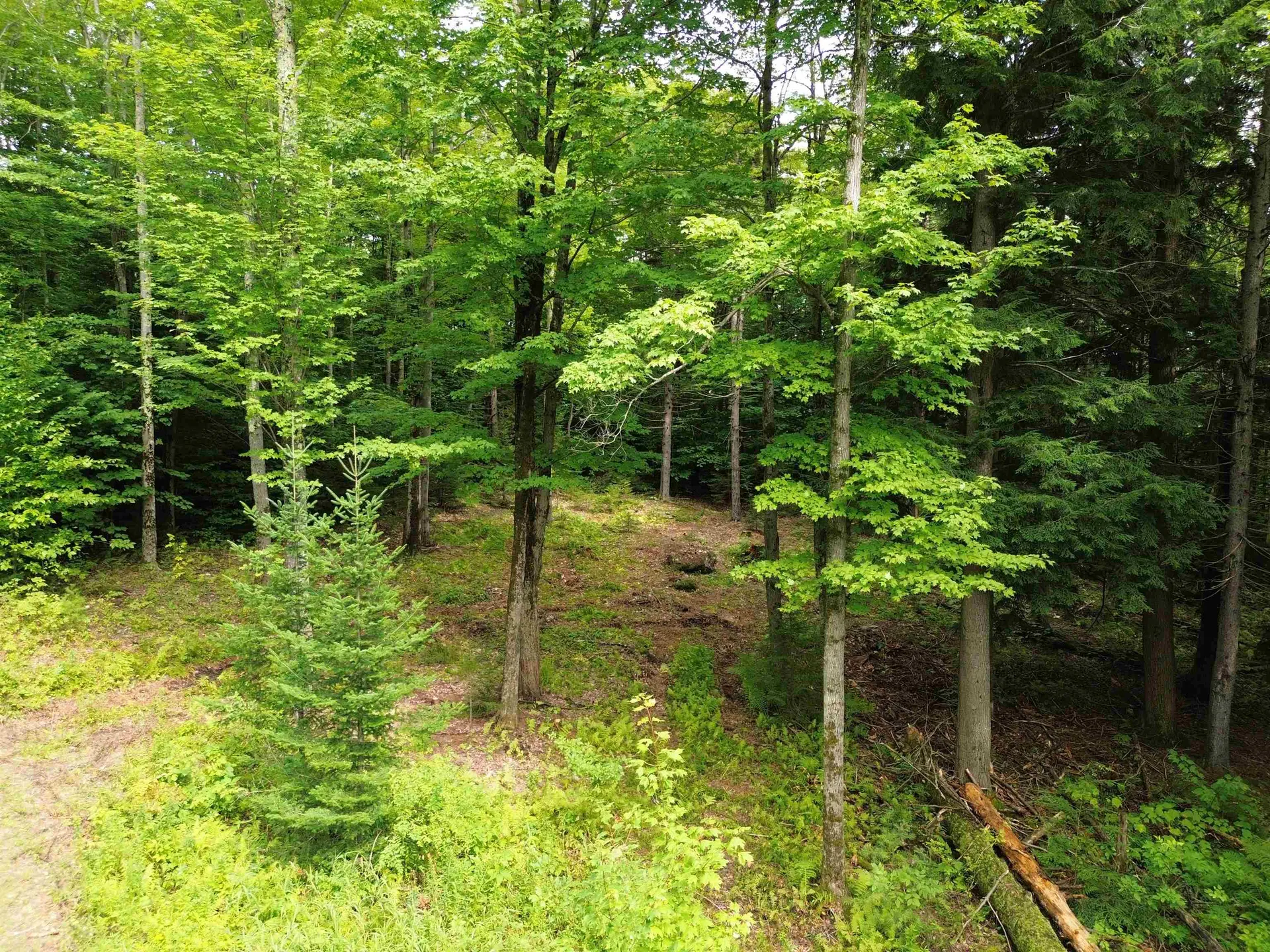 00 Knolls Road Warren VT 05674