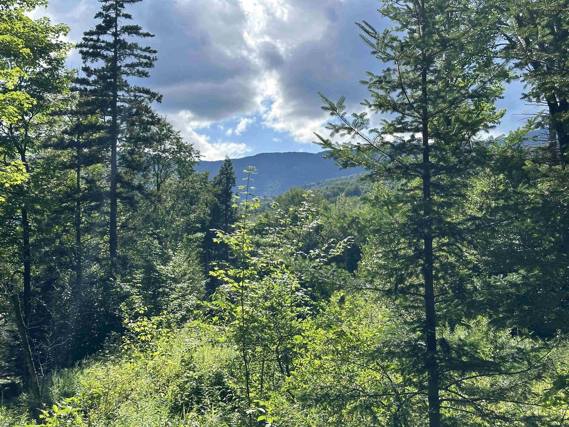 00 Knolls Road Warren VT 05674