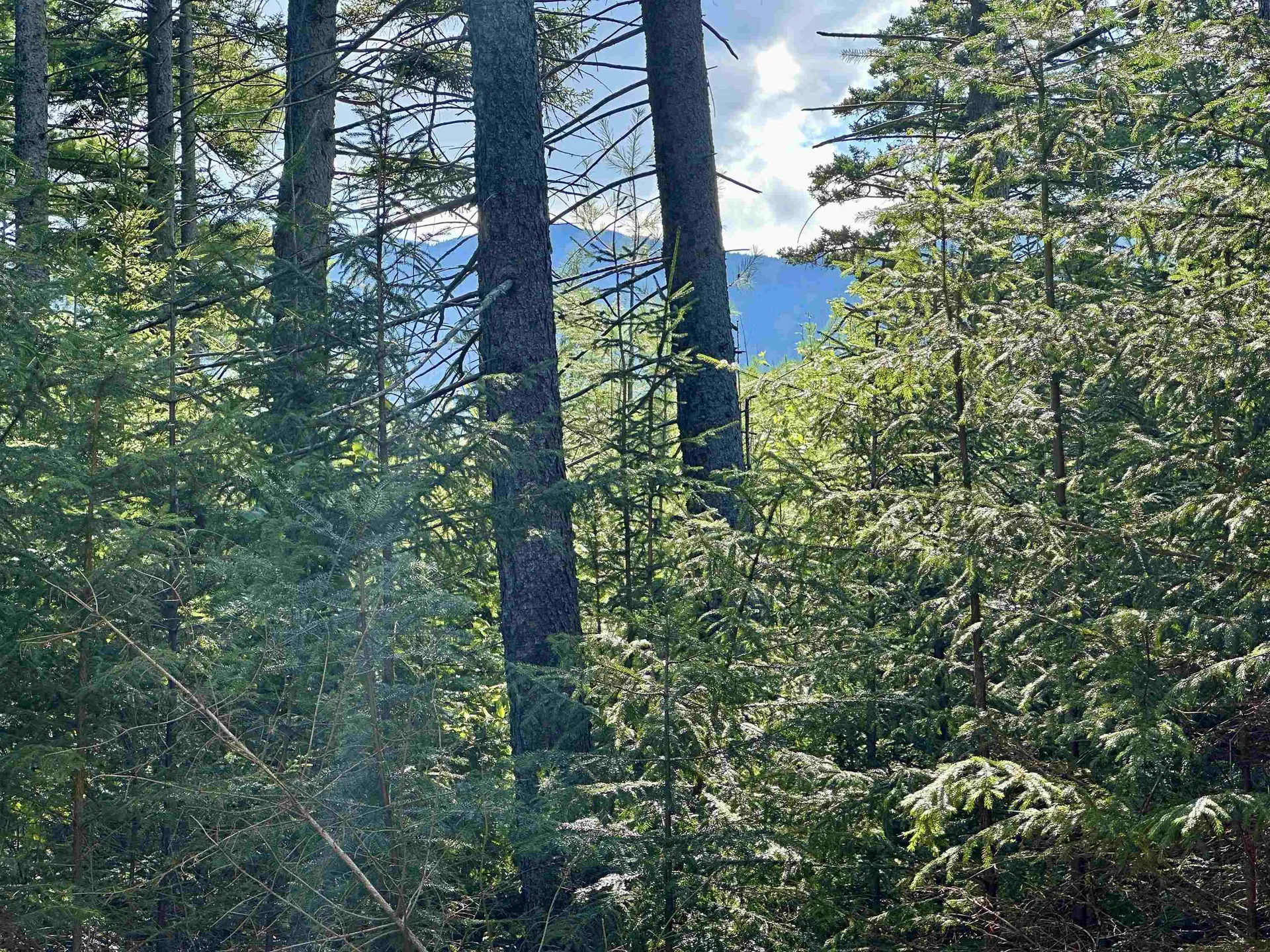 00 Knolls Road Warren VT 05674