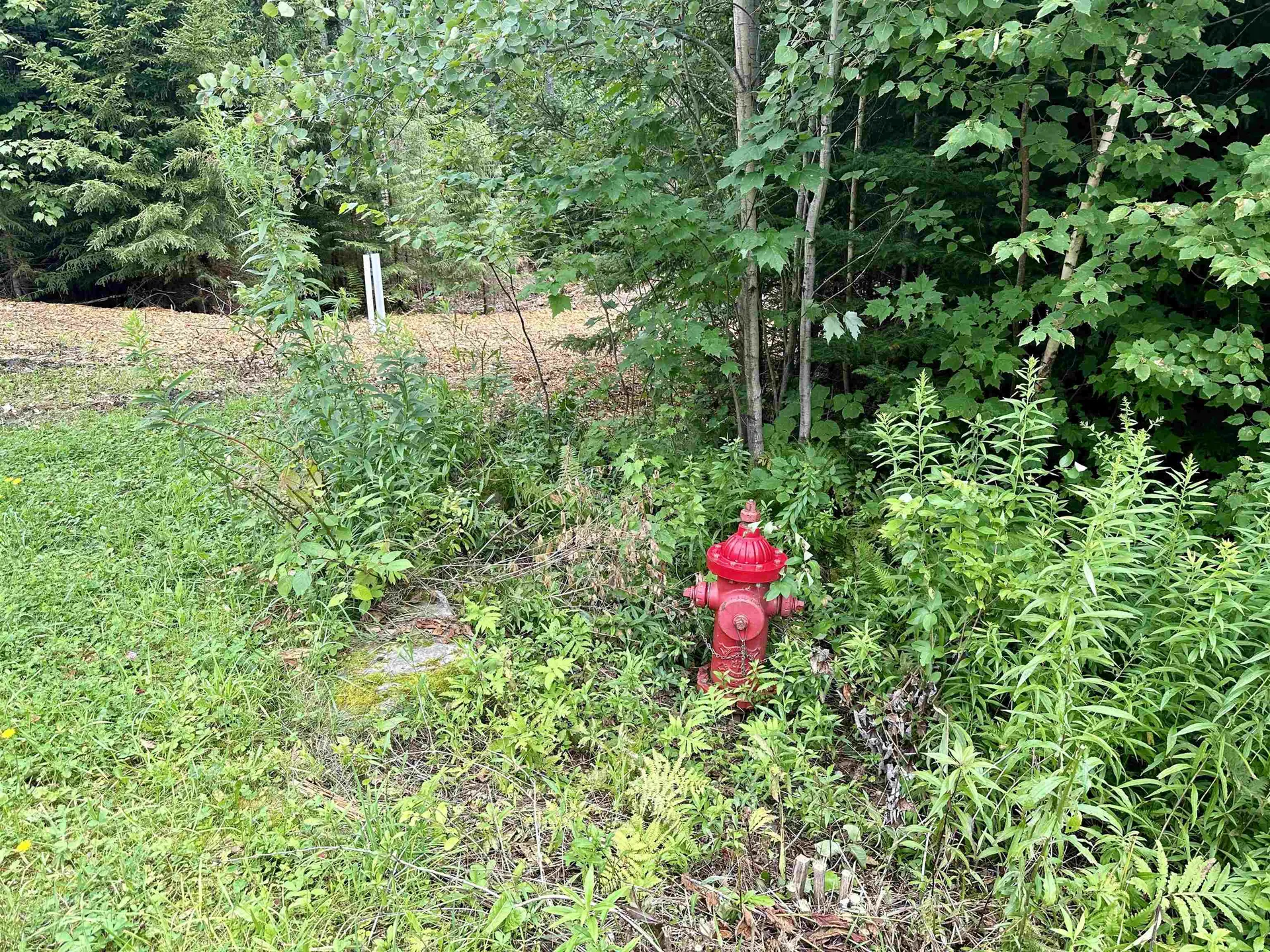 00 Knolls Road Warren VT 05674