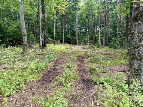 00 Knolls Road Warren VT 05674