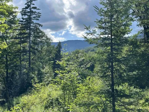 00 Knolls Road Warren VT 05674