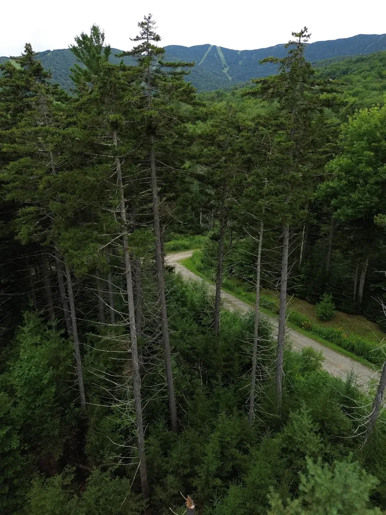 00 Knolls Road Warren VT 05674