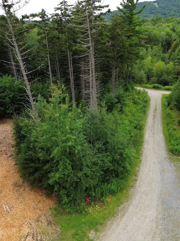 00 Knolls Road Warren VT 05674