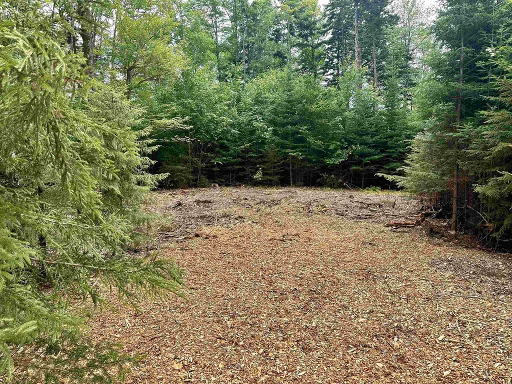 00 Knolls Road Warren VT 05674