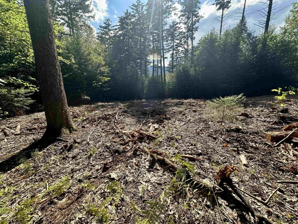 00 Knolls Road Warren VT 05674