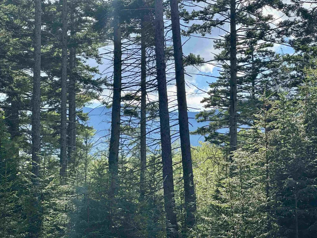 00 Knolls Road Warren VT 05674