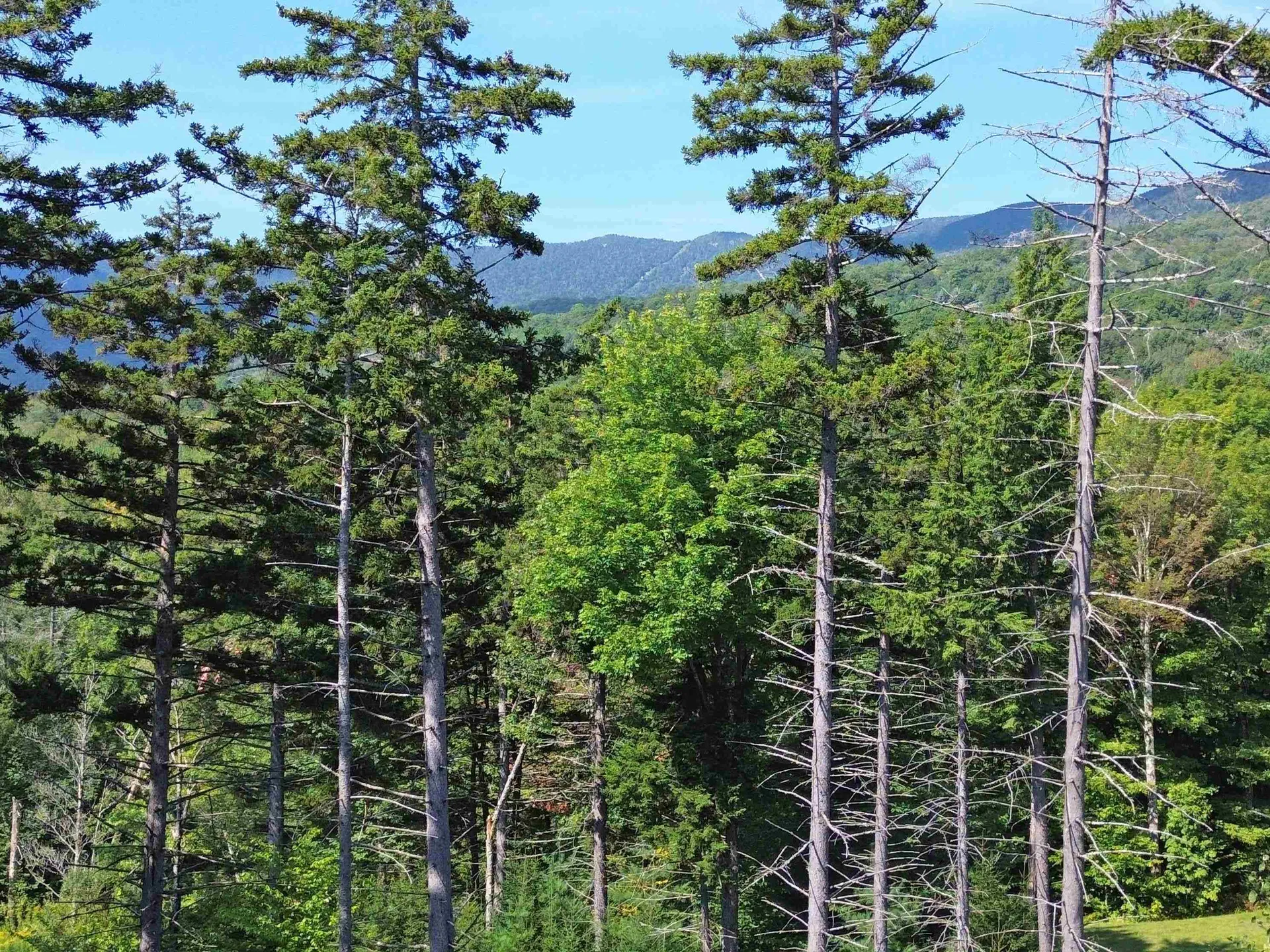 00 Knolls Road Warren VT 05674