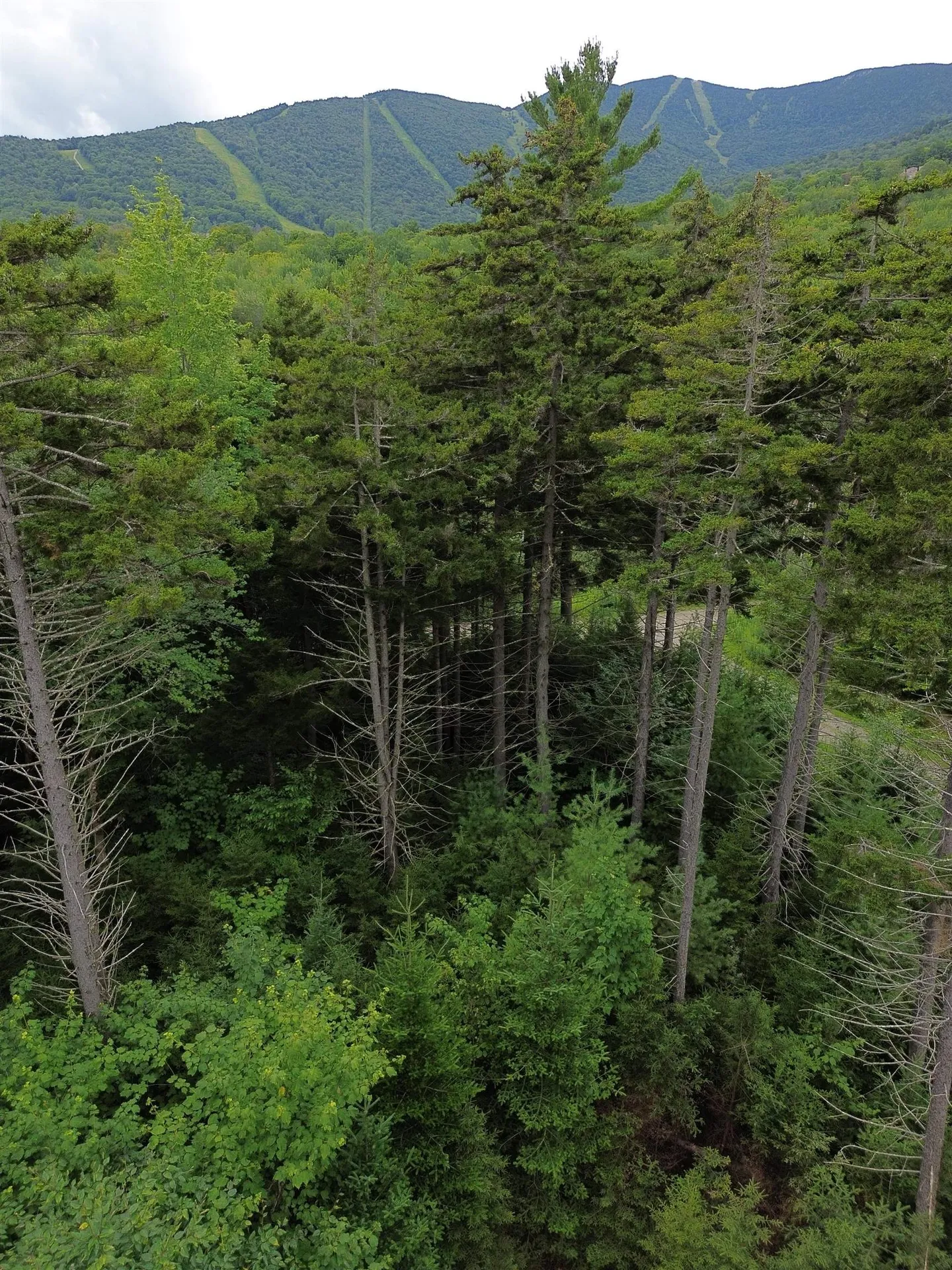 00 Knolls Road Warren VT 05674