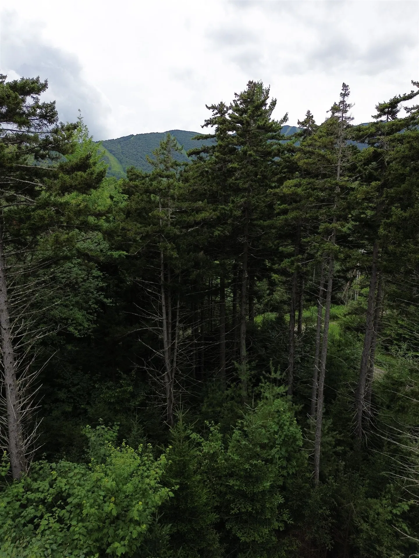 00 Knolls Road Warren VT 05674