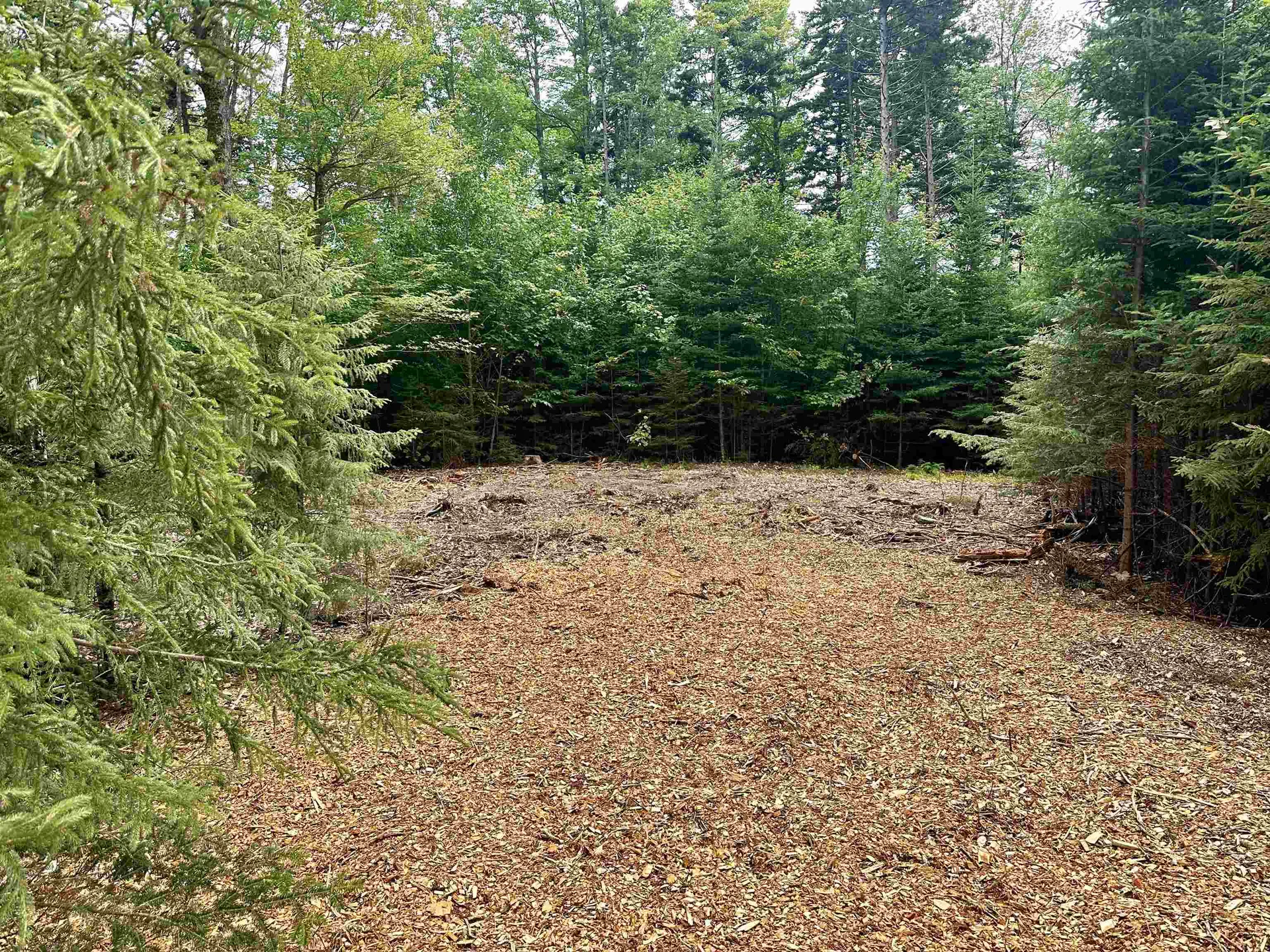 00 Knolls Road Warren VT 05674