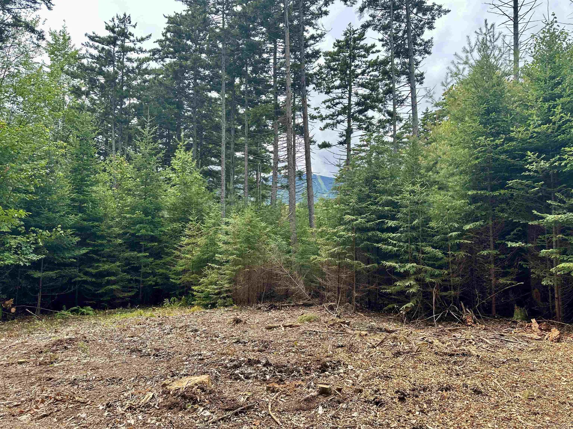 00 Knolls Road Warren VT 05674