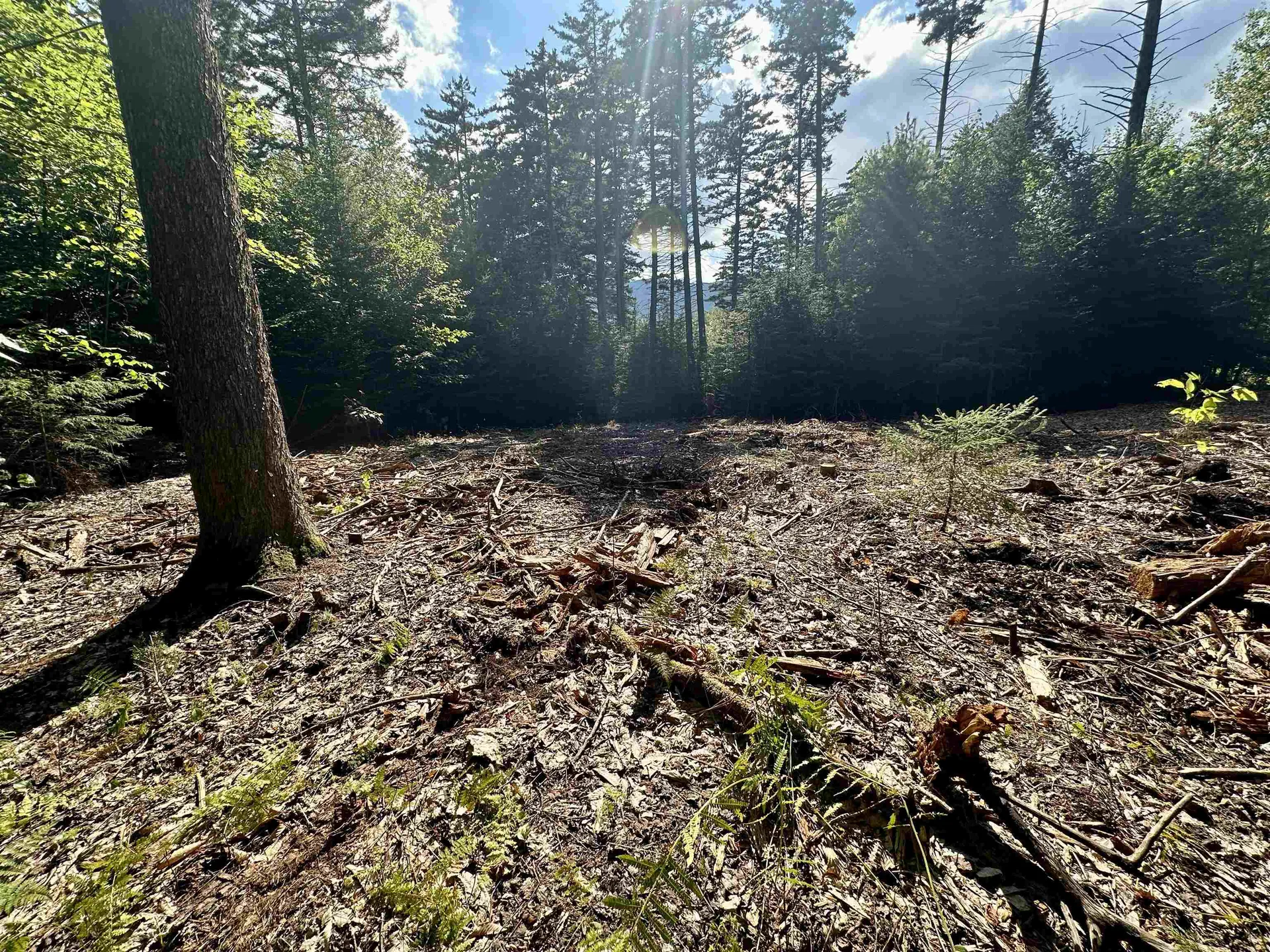 00 Knolls Road Warren VT 05674