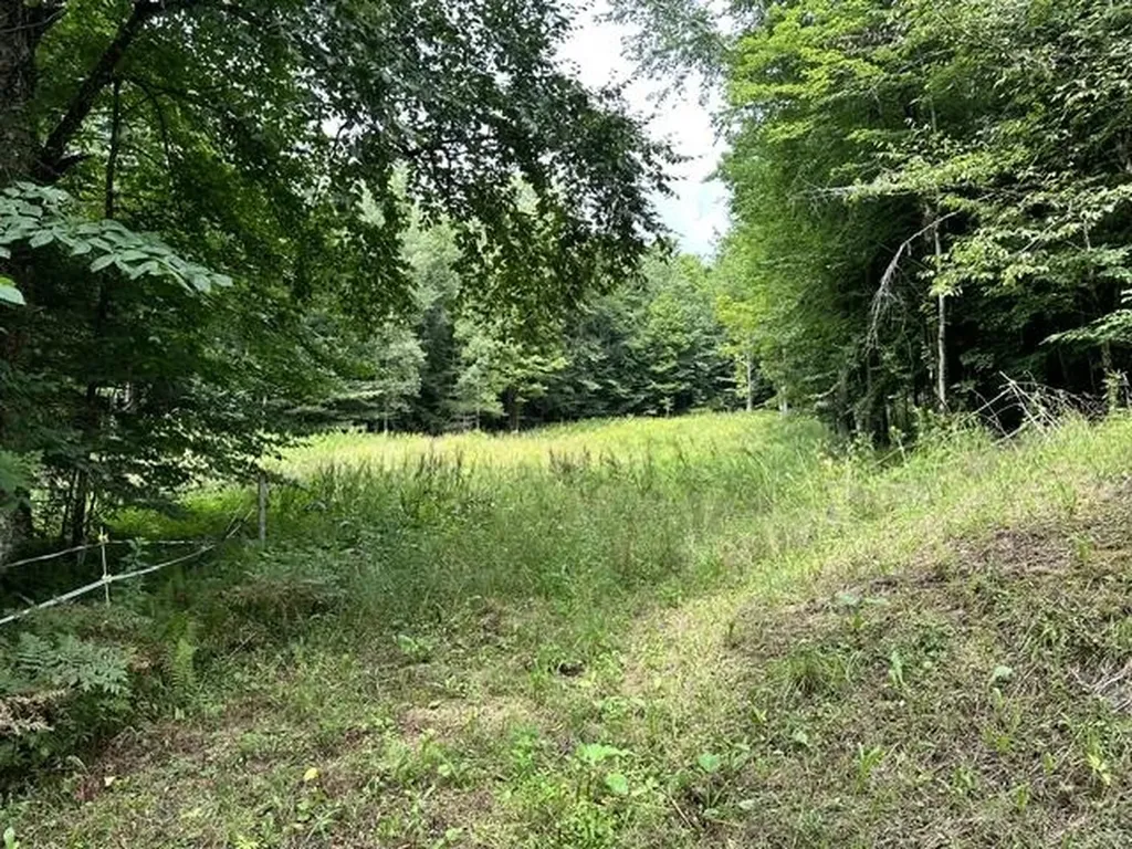 1595 Centerville Road Hyde Park VT 05655