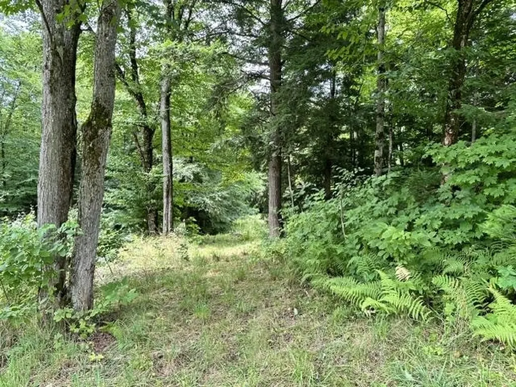 1595 Centerville Road Hyde Park VT 05655