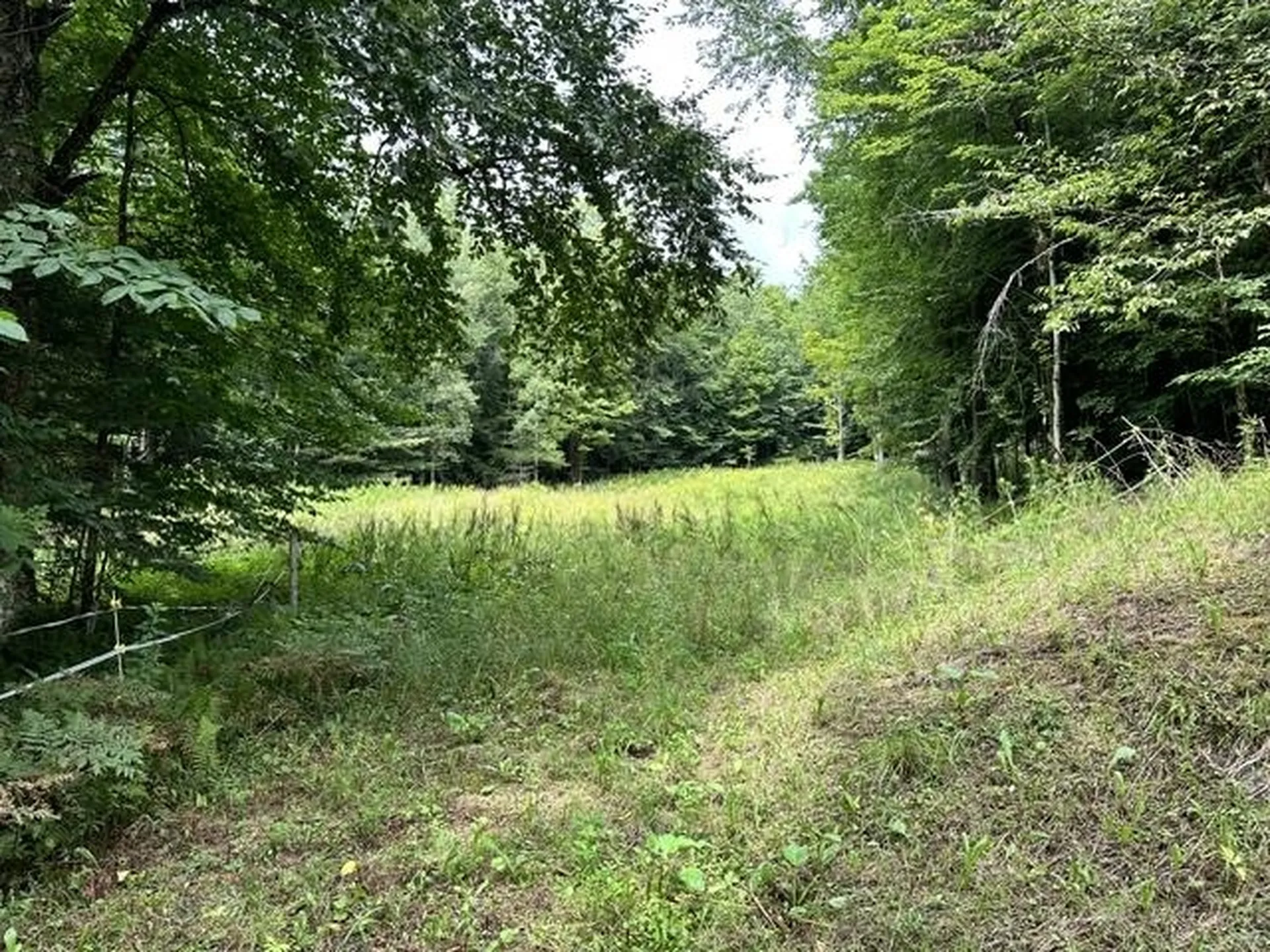 1595 Centerville Road Hyde Park VT 05655