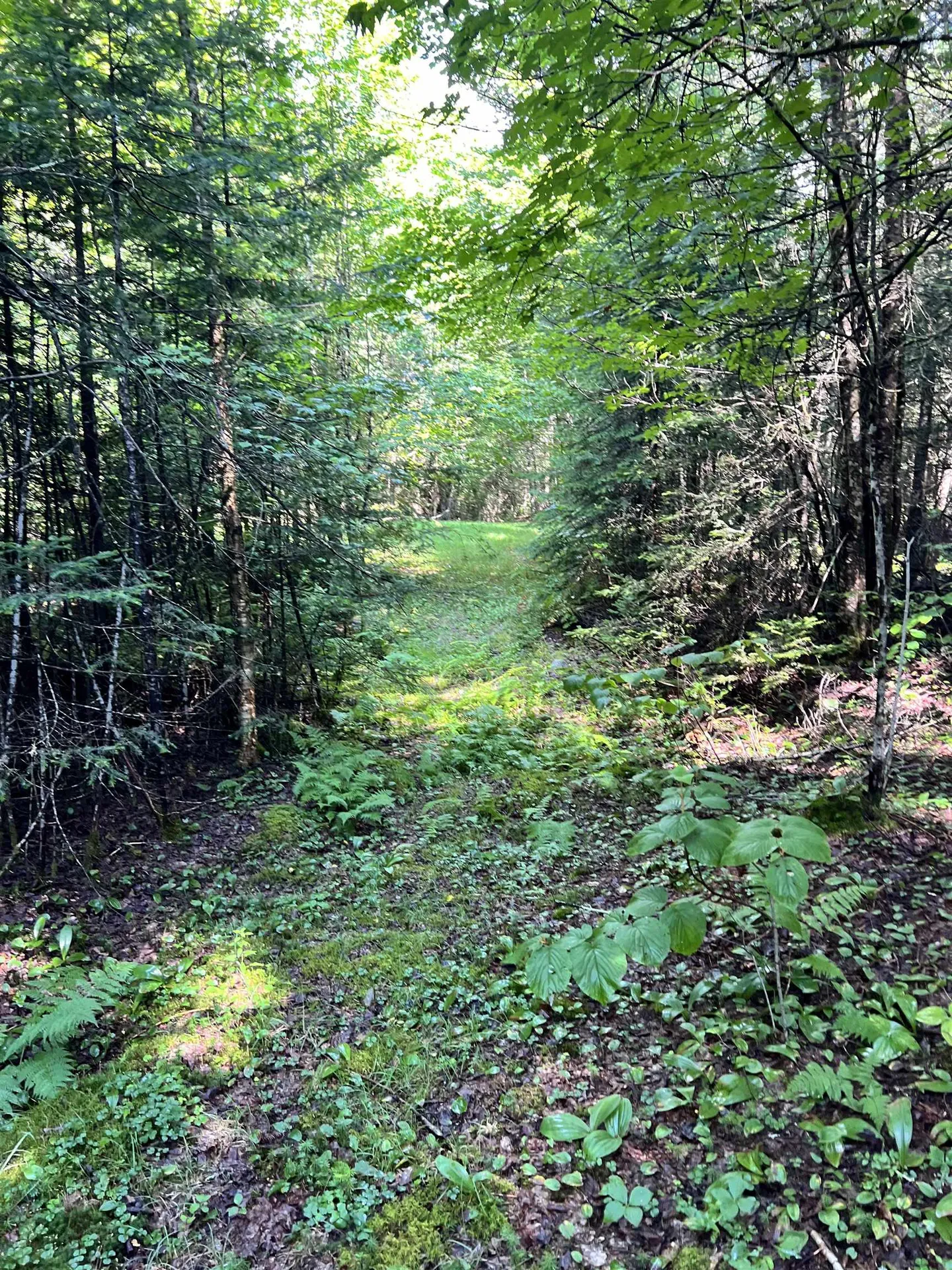 0 Granby Road Granby VT 05840