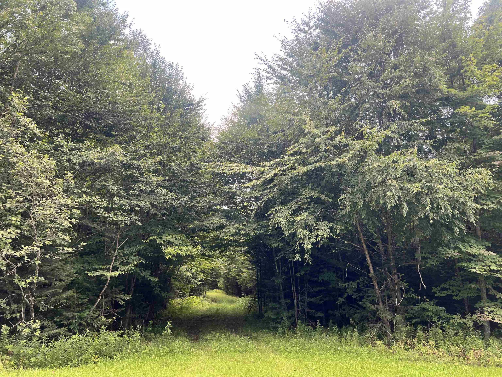 0 Granby Road Granby VT 05840