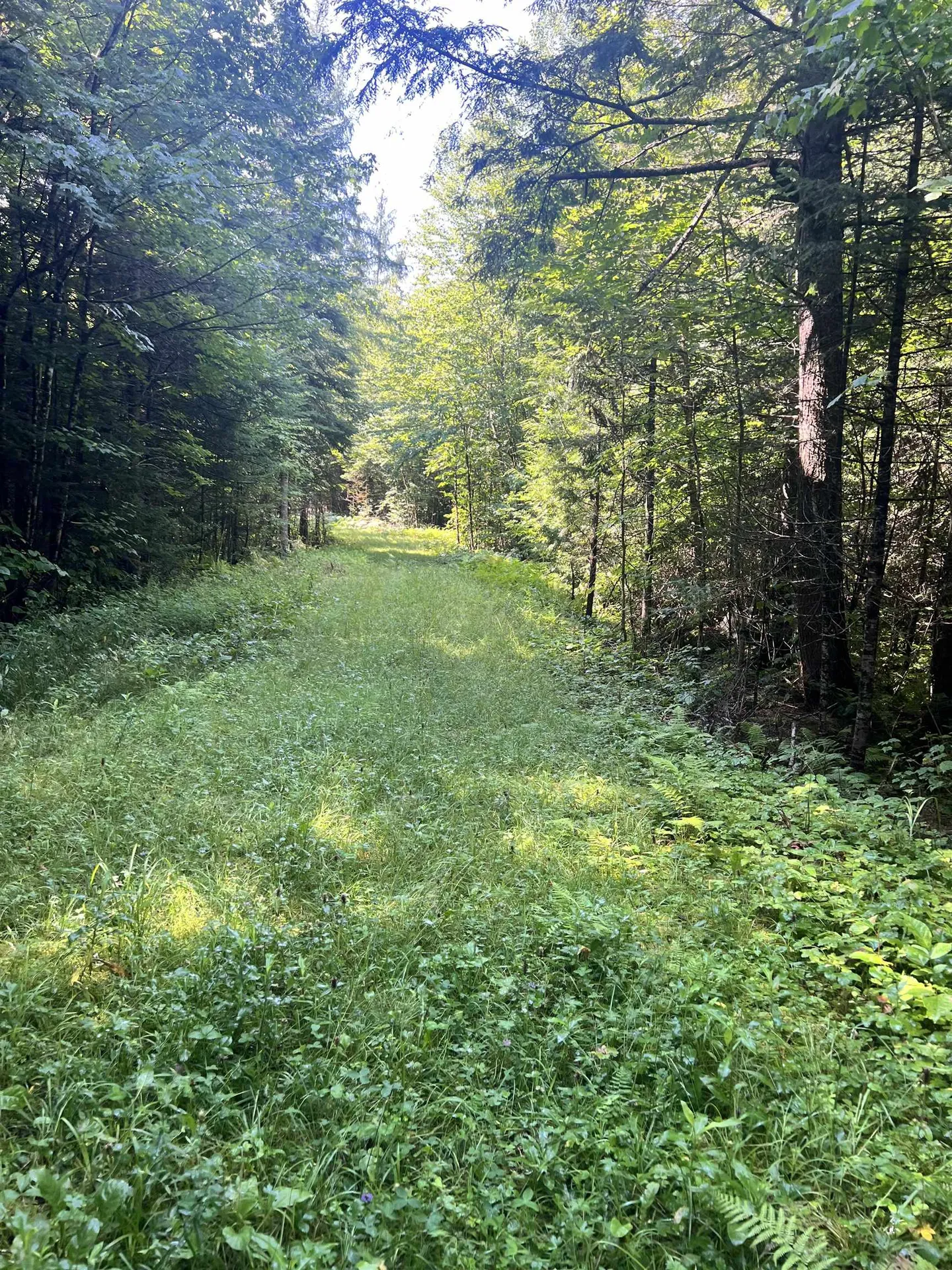 0 Granby Road Granby VT 05840