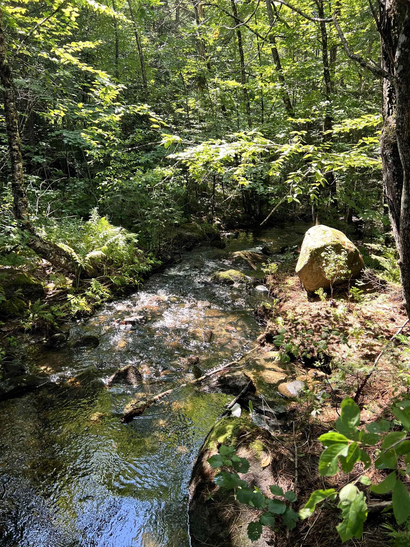 0 Granby Road Granby VT 05840