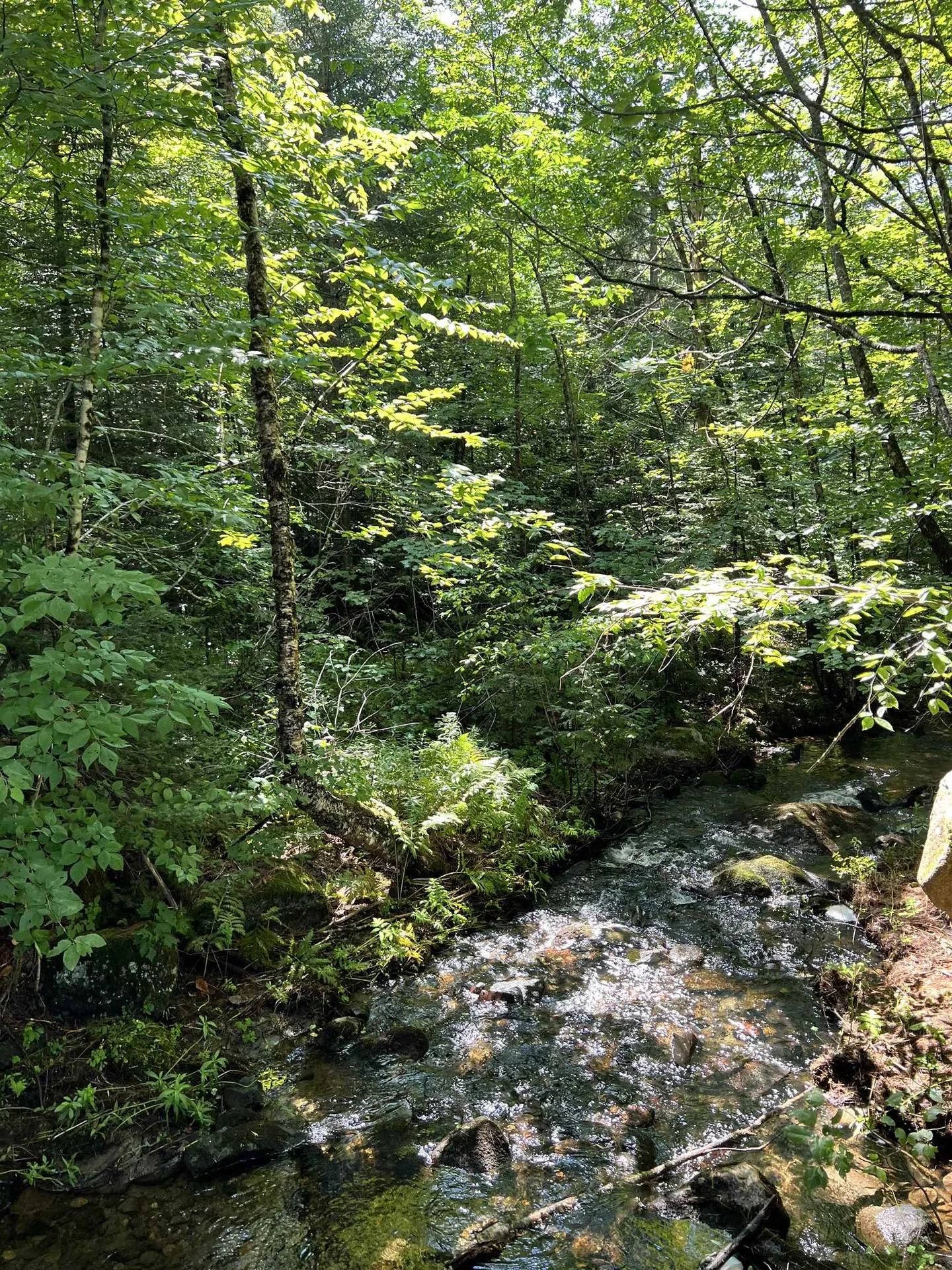 0 Granby Road Granby VT 05840