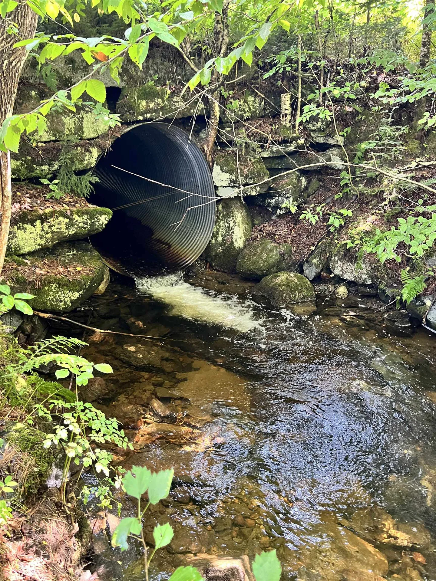 0 Granby Road Granby VT 05840