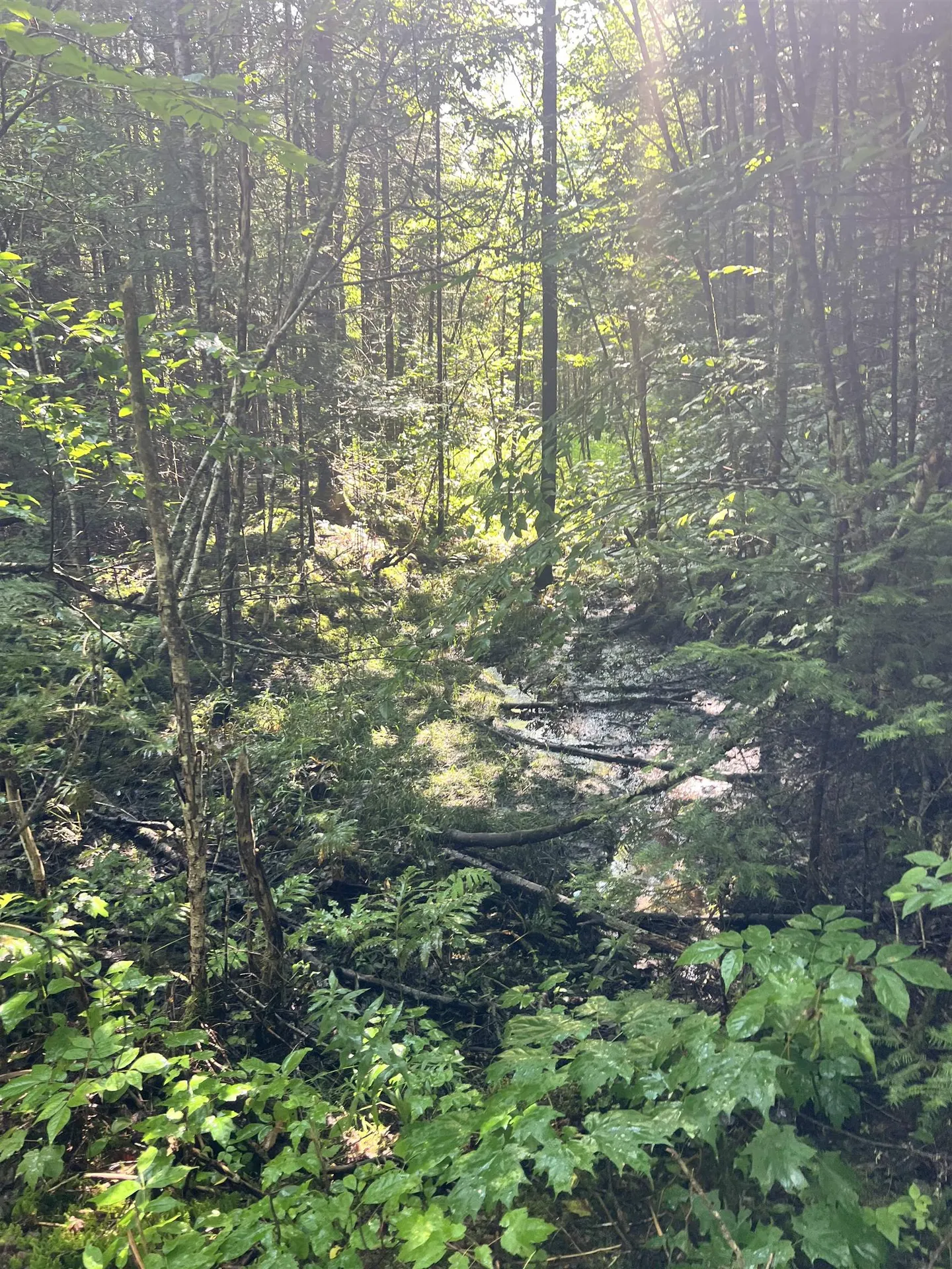 0 Granby Road Granby VT 05840