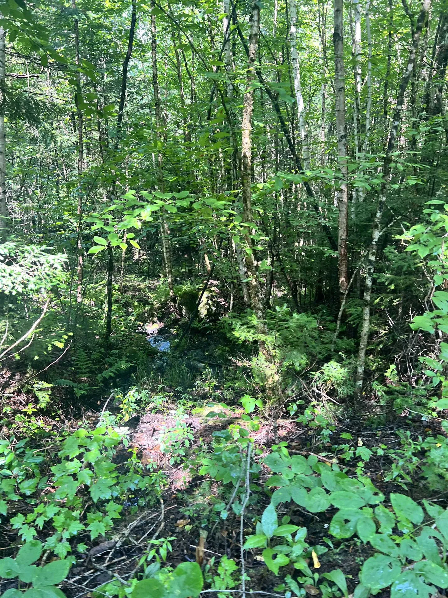 0 Granby Road Granby VT 05840