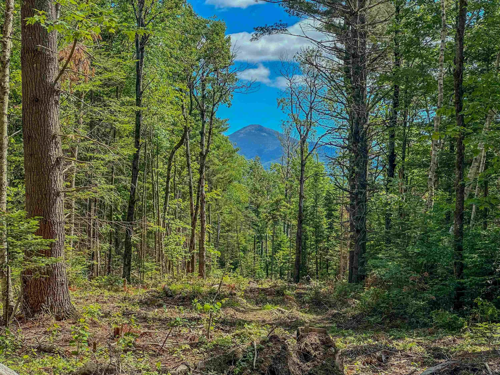 00 Ridge Road Bethlehem NH 03574