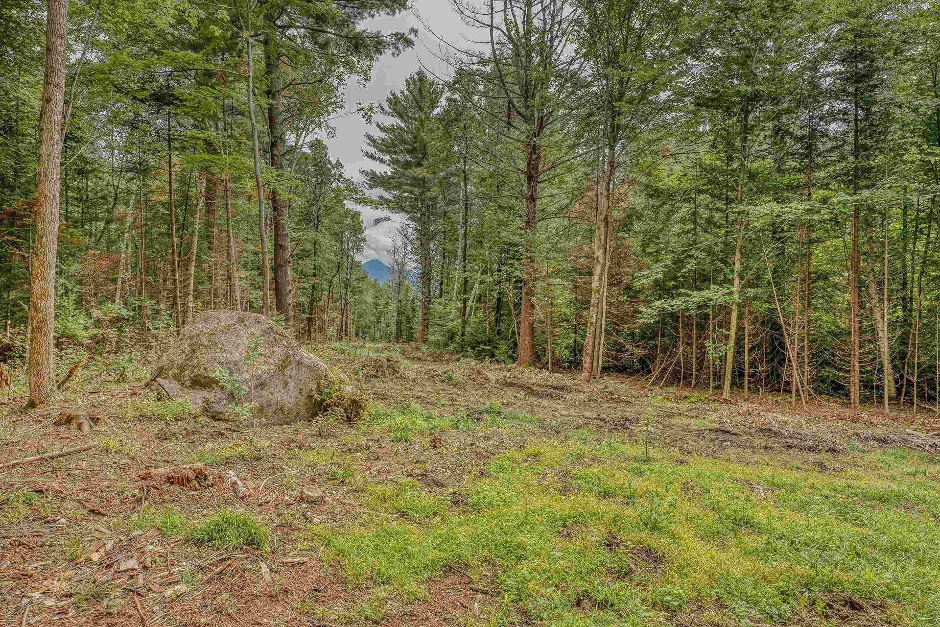 00 Ridge Road Bethlehem NH 03574