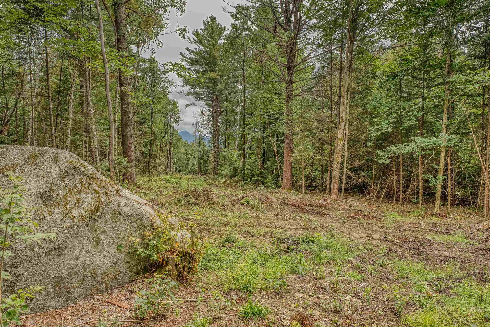 00 Ridge Road Bethlehem NH 03574