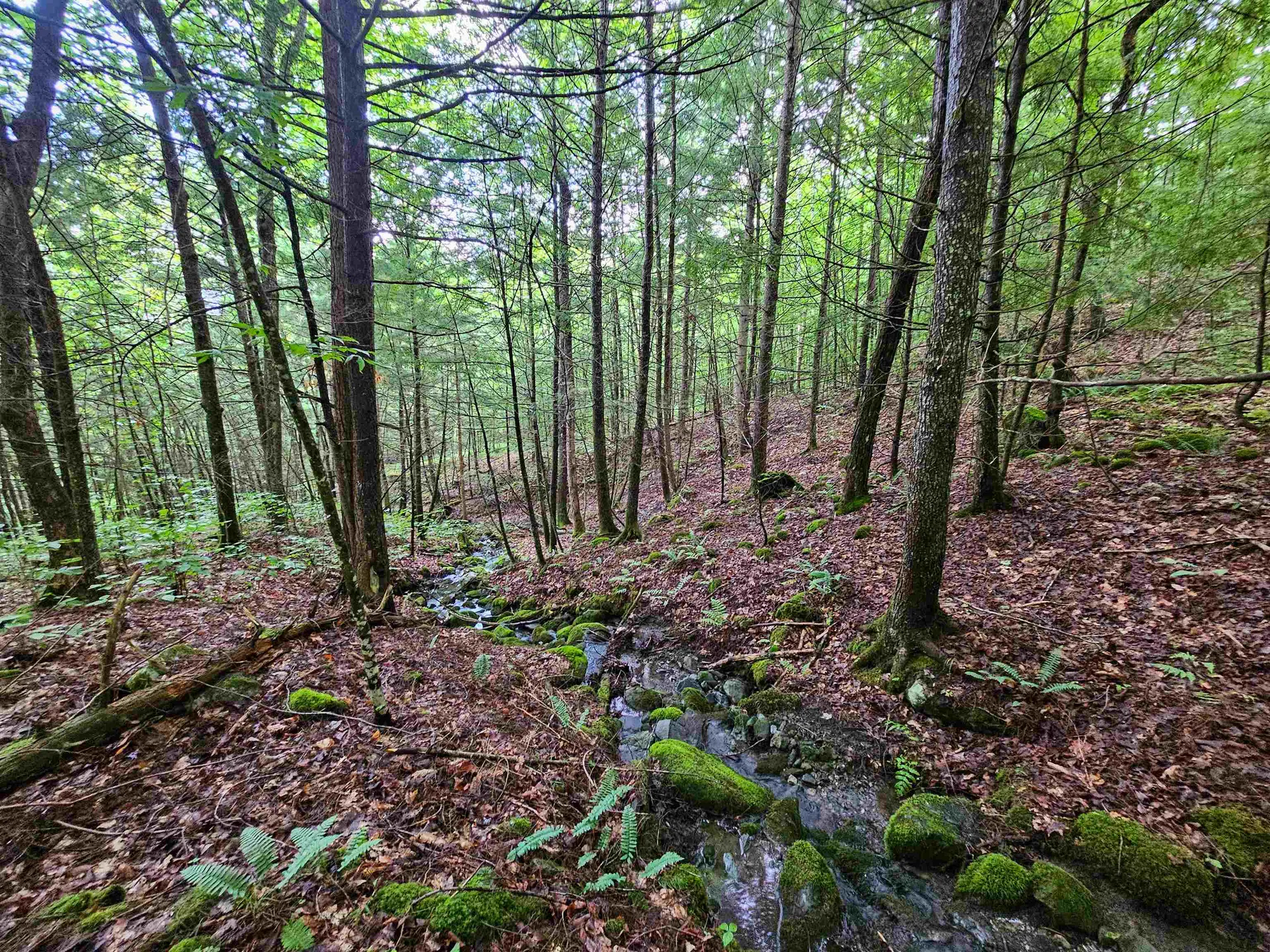 873 Roystan Ridge Newbury VT 05081