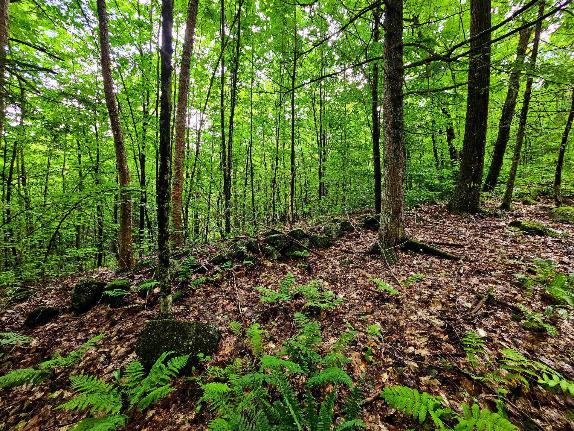 873 Roystan Ridge Newbury VT 05081