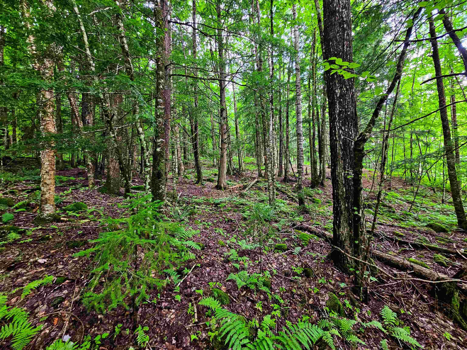 873 Roystan Ridge Newbury VT 05081