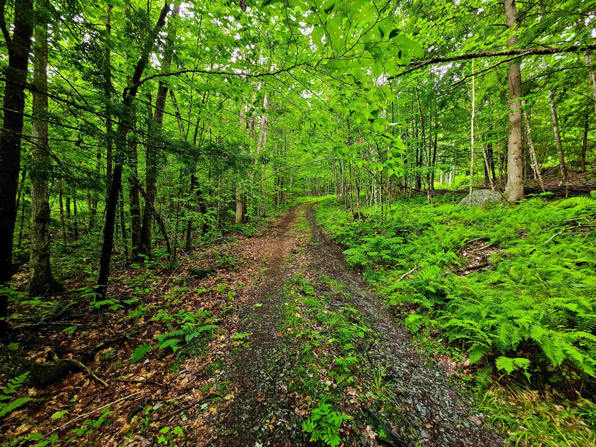 873 Roystan Ridge Newbury VT 05081