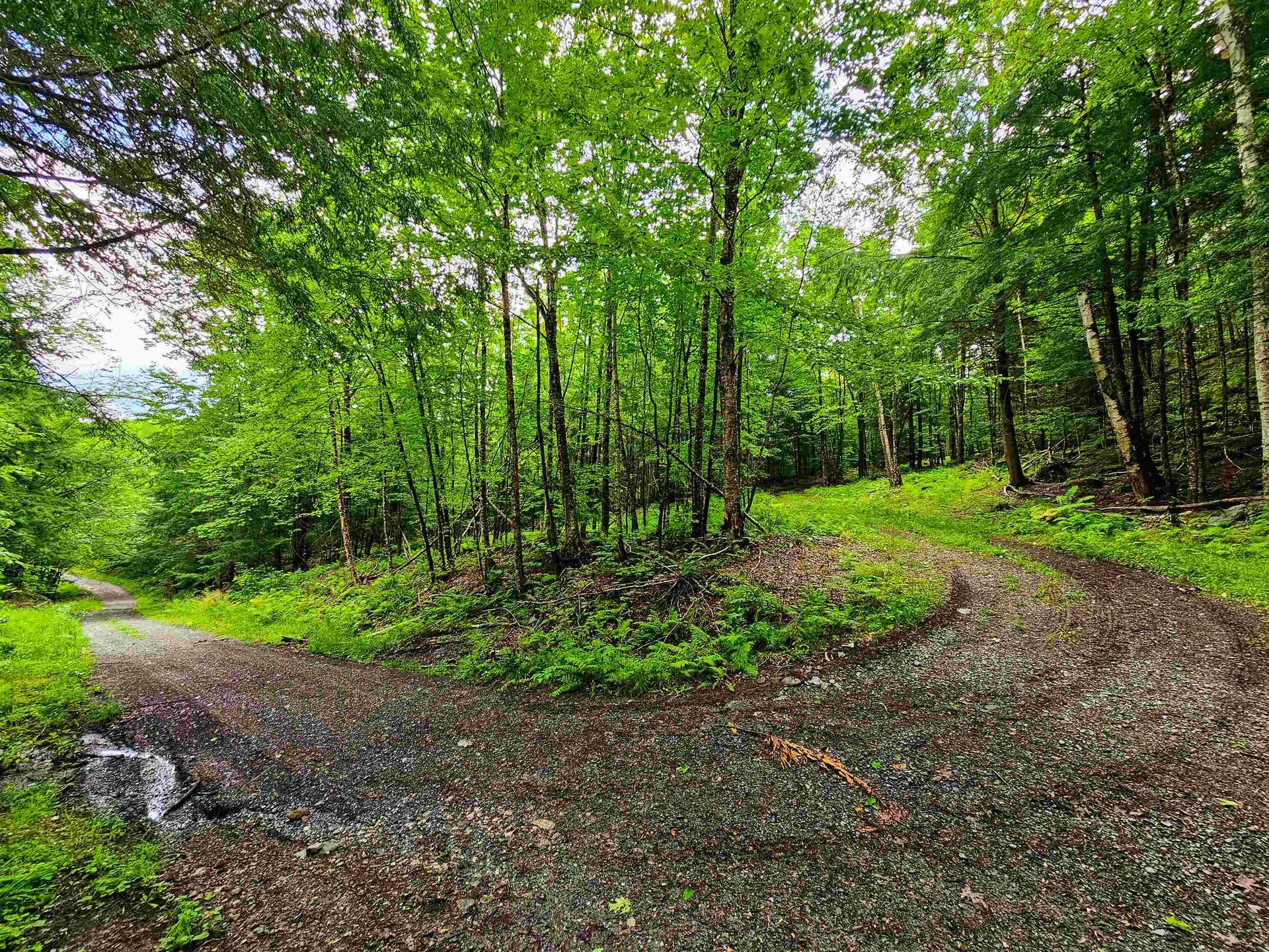 873 Roystan Ridge Newbury VT 05081