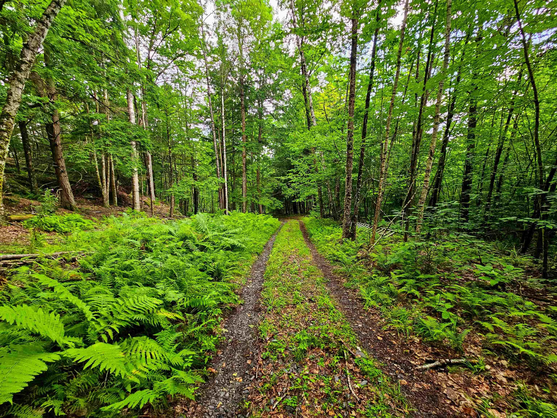 873 Roystan Ridge Newbury VT 05081