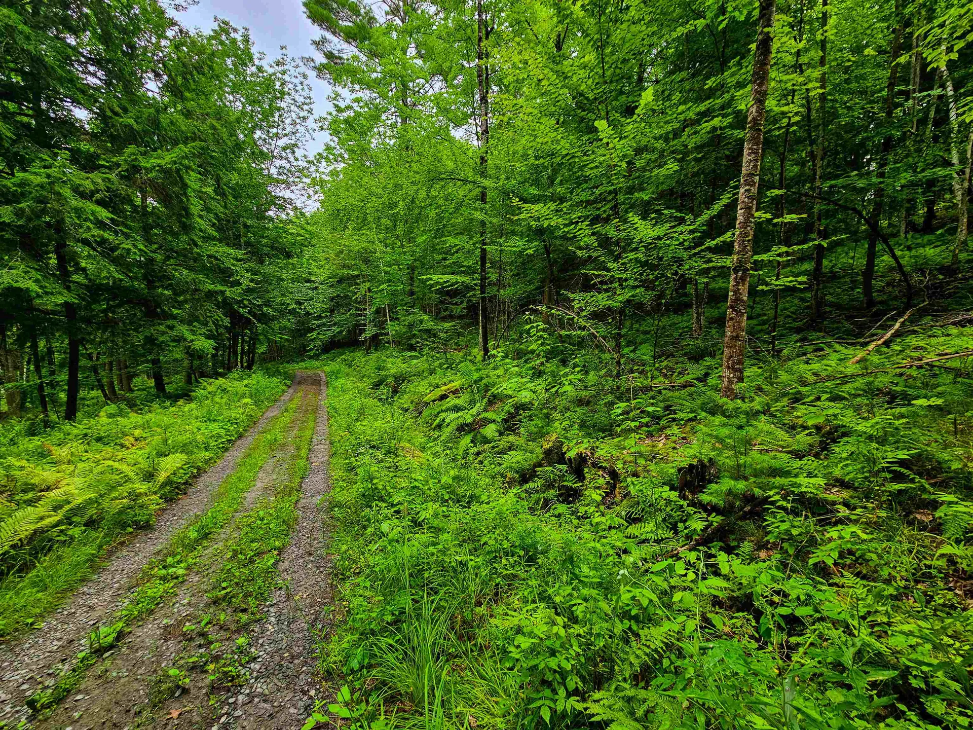 873 Roystan Ridge Newbury VT 05081