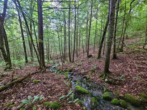 873 Roystan Ridge Newbury VT 05081