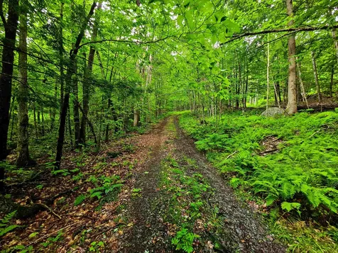 873 Roystan Ridge Newbury VT 05081