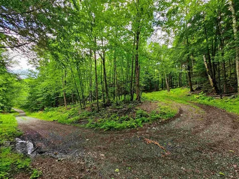 873 Roystan Ridge Newbury VT 05081