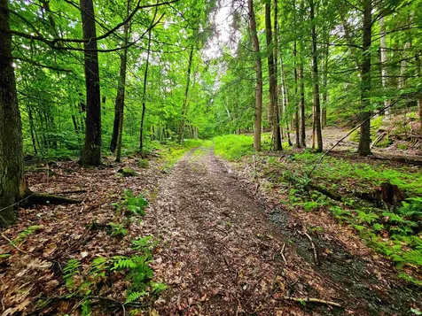 873 Roystan Ridge Newbury VT 05081