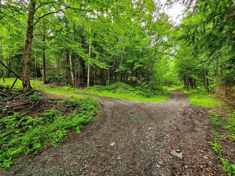 873 Roystan Ridge Newbury VT 05081
