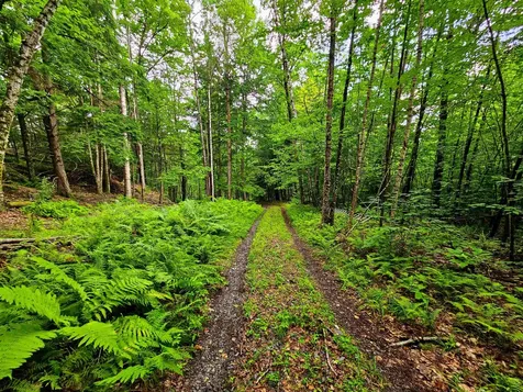 873 Roystan Ridge Newbury VT 05081