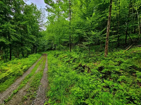 873 Roystan Ridge Newbury VT 05081