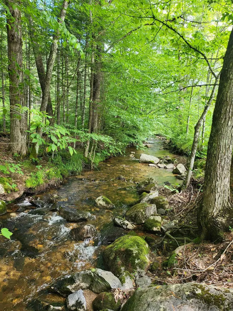 28 Cuttyhunk Road Thornton NH 03285