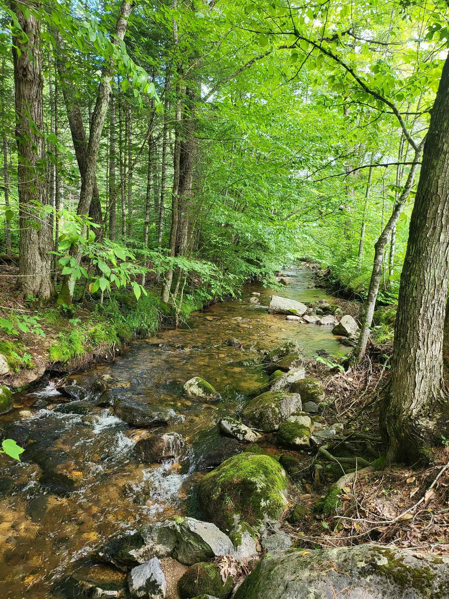 28 Cuttyhunk Road Thornton NH 03285