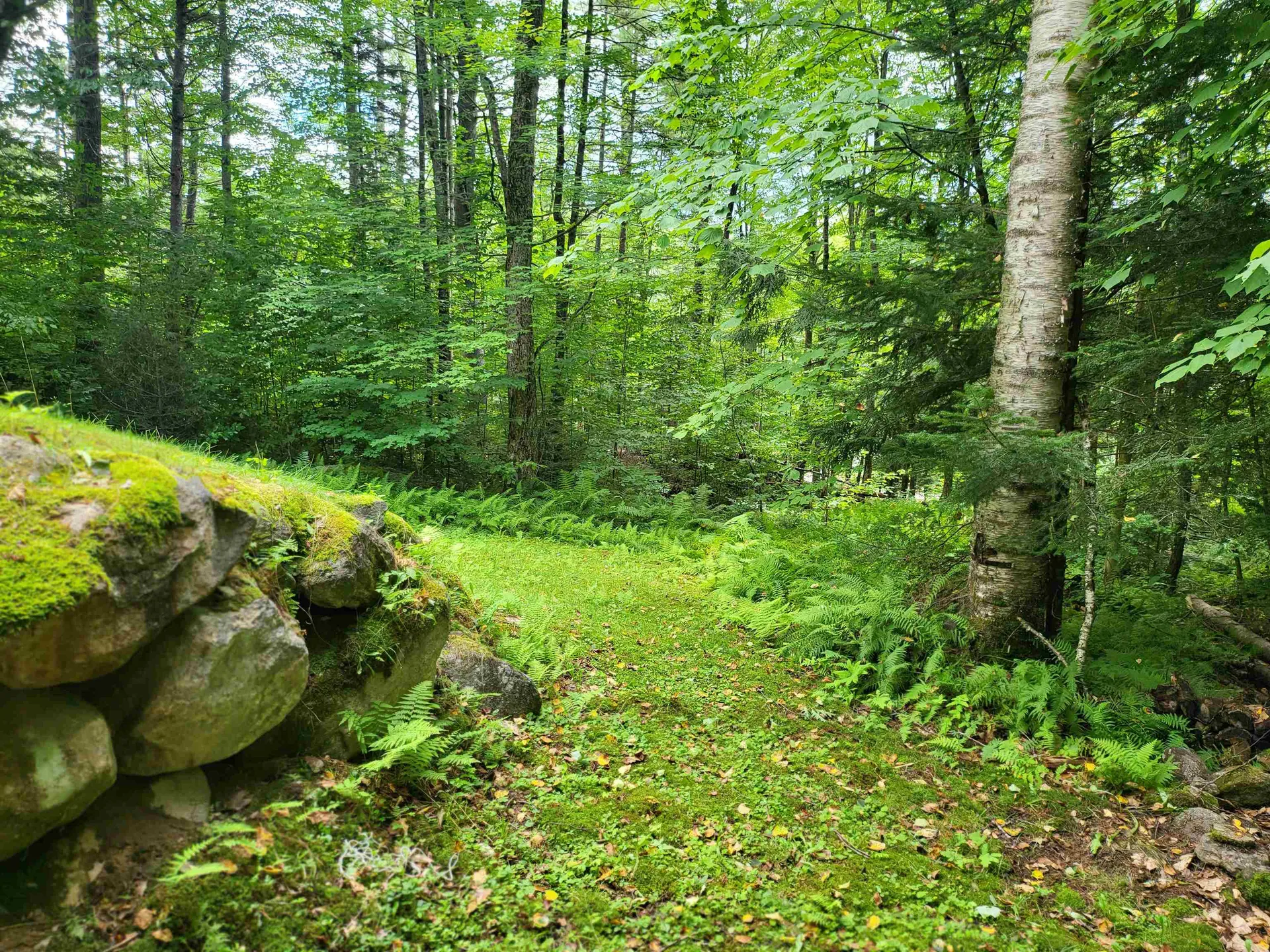 28 Cuttyhunk Road Thornton NH 03285